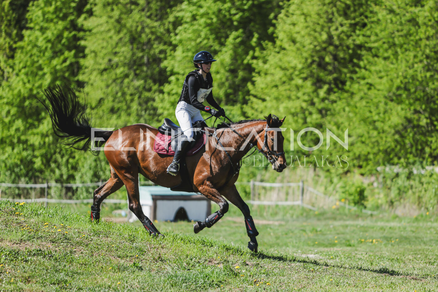 Parnu_CHI_3V_2026_CCN80_XC_089