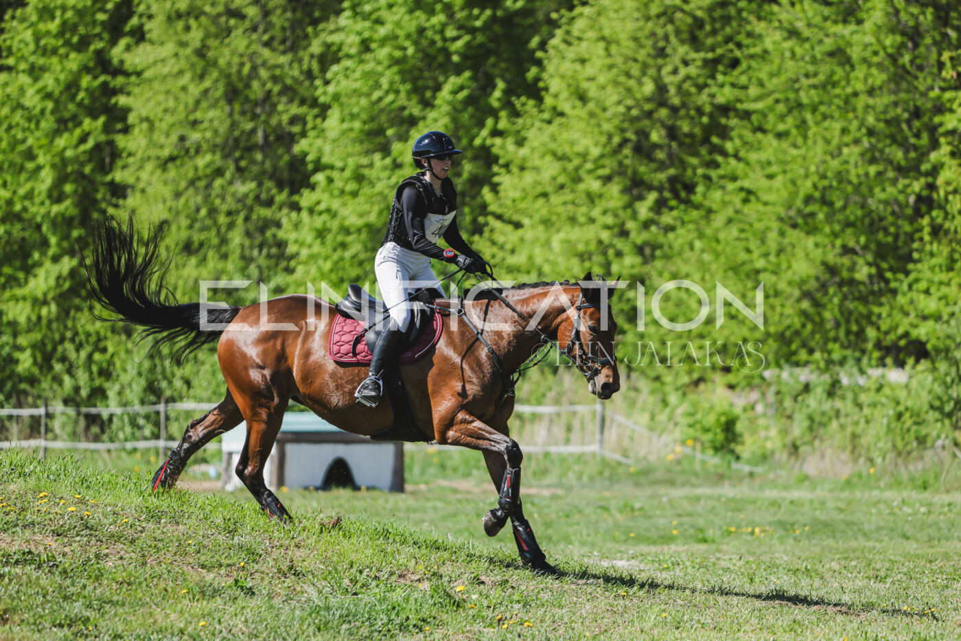 Parnu_CHI_3V_2026_CCN80_XC_090