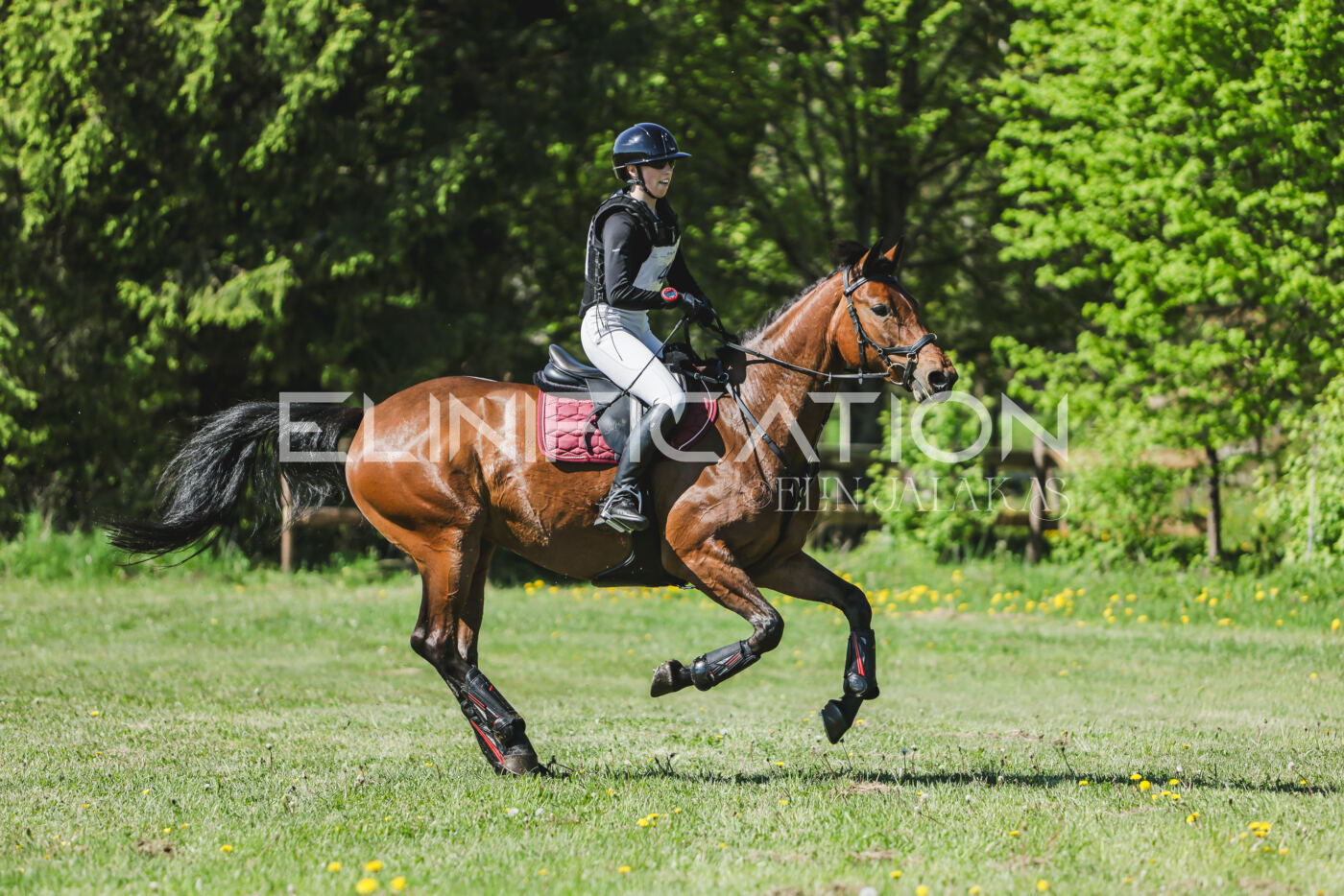 Parnu_CHI_3V_2026_CCN80_XC_091