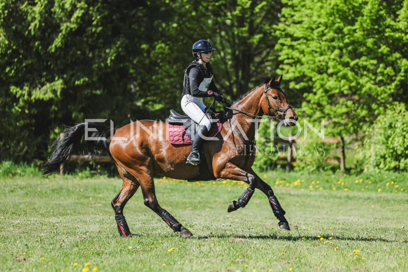 Parnu_CHI_3V_2026_CCN80_XC_092