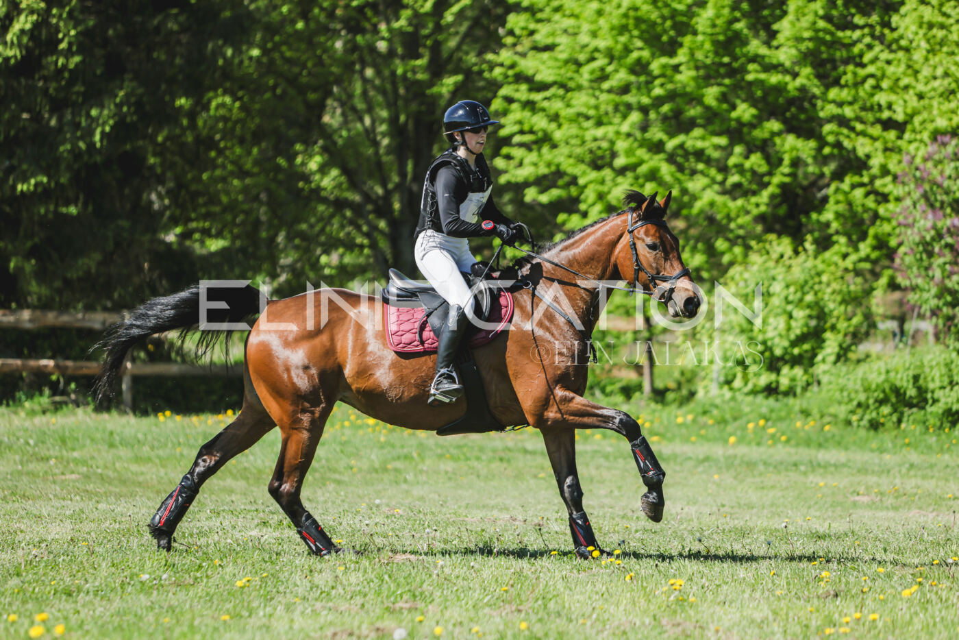 Parnu_CHI_3V_2026_CCN80_XC_093