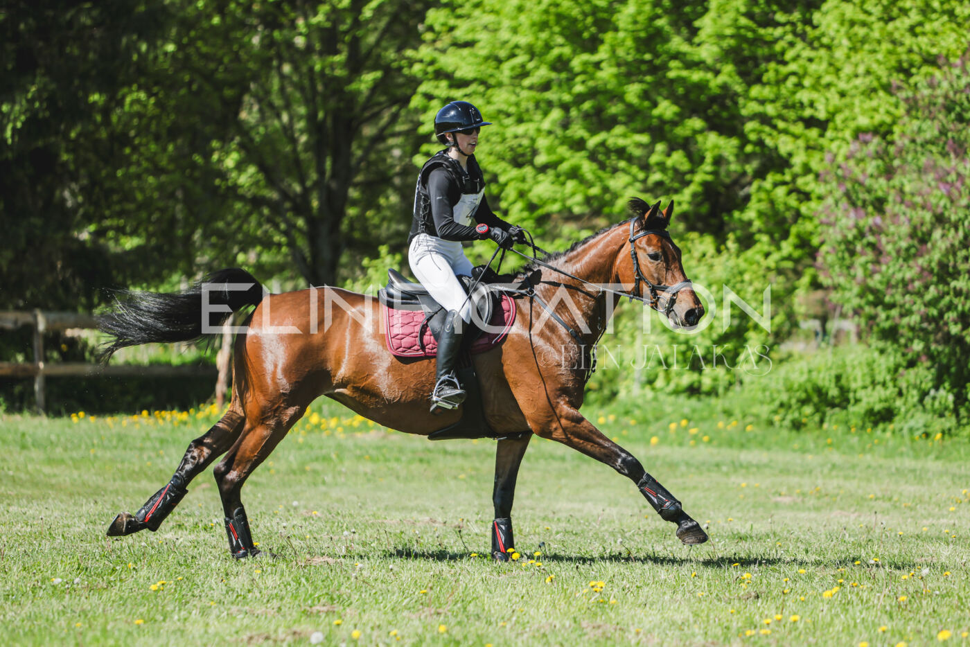 Parnu_CHI_3V_2026_CCN80_XC_094