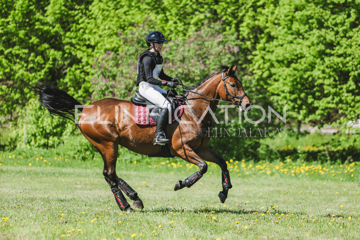 Parnu_CHI_3V_2026_CCN80_XC_095