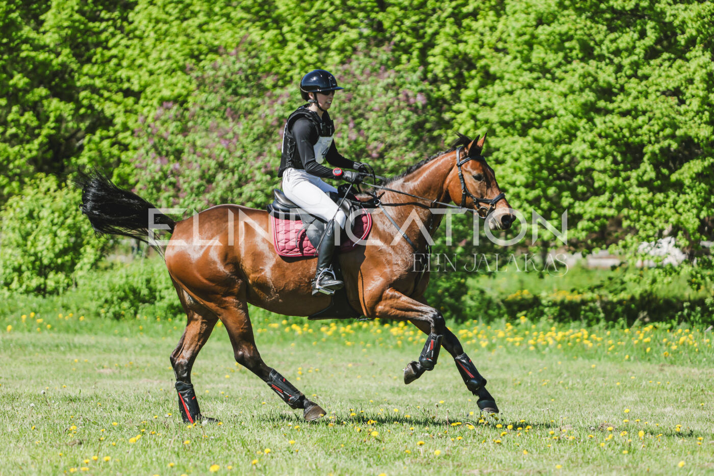 Parnu_CHI_3V_2026_CCN80_XC_096