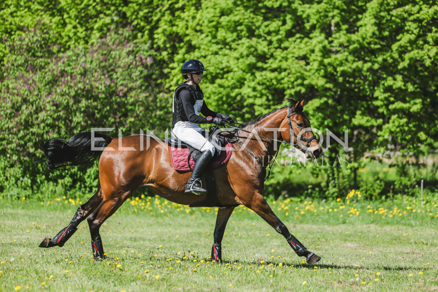 Parnu_CHI_3V_2026_CCN80_XC_097