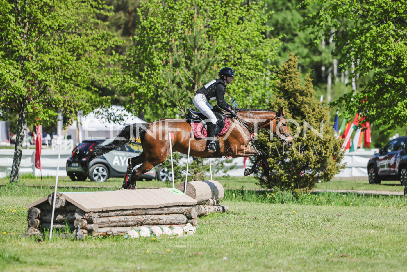 Parnu_CHI_3V_2026_CCN80_XC_100