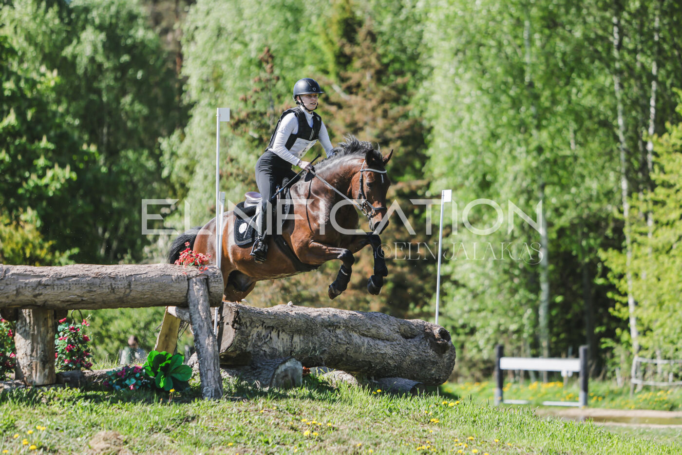 Parnu_CHI_3V_2026_CCN80_XC_113