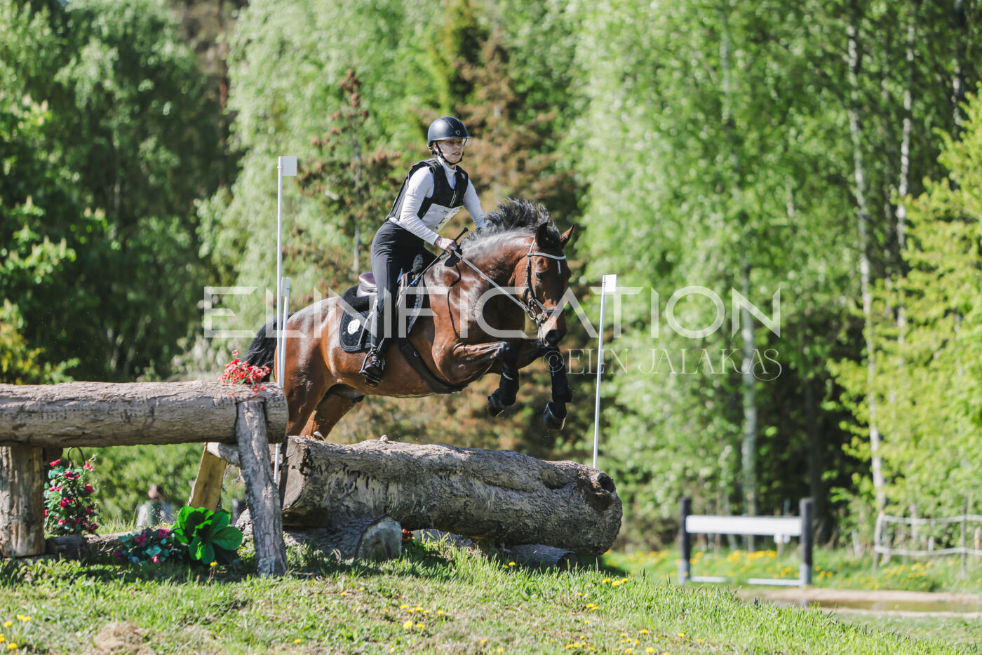 Parnu_CHI_3V_2026_CCN80_XC_114