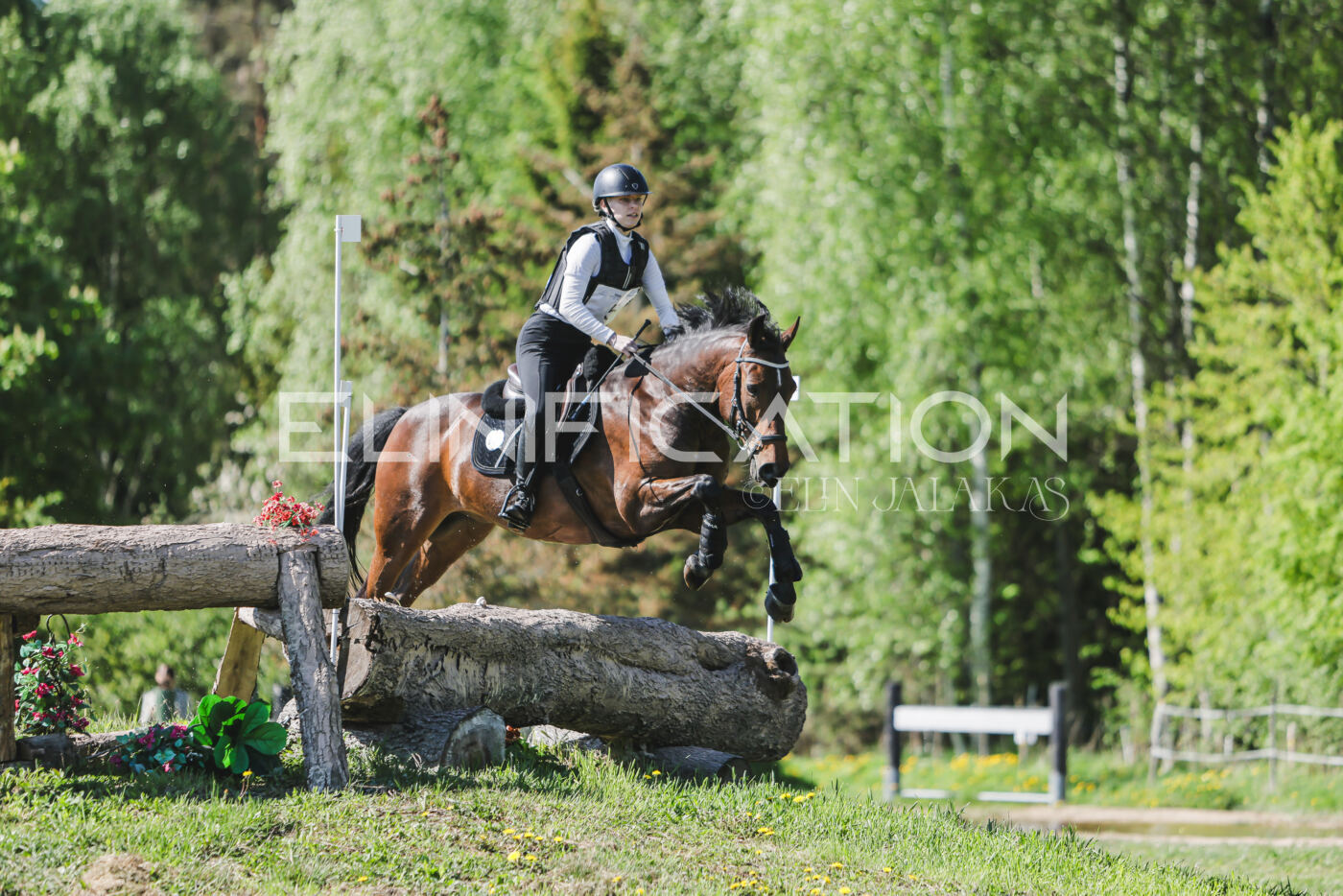 Parnu_CHI_3V_2026_CCN80_XC_115