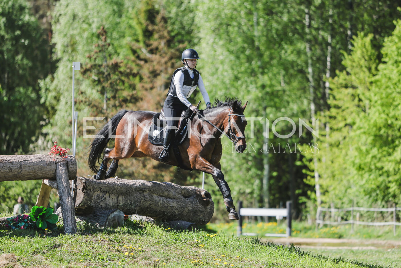 Parnu_CHI_3V_2026_CCN80_XC_117