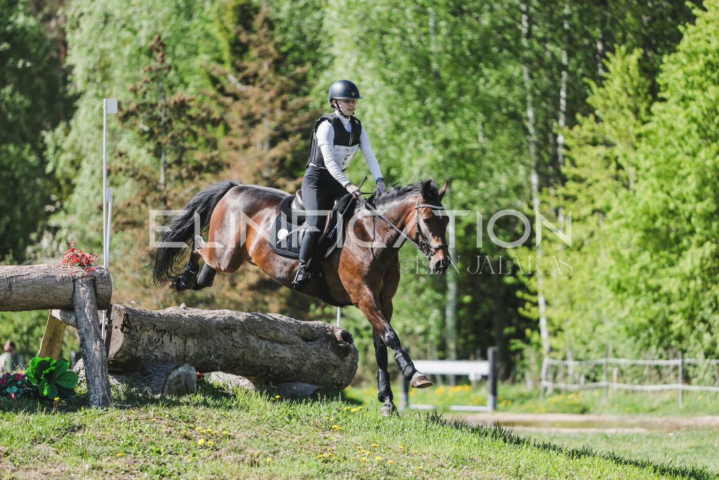 Parnu_CHI_3V_2026_CCN80_XC_118