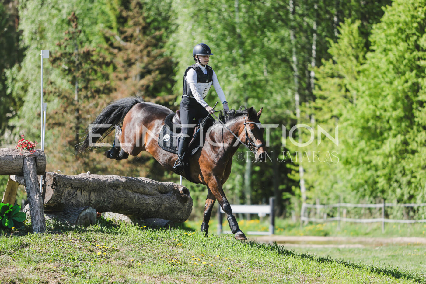 Parnu_CHI_3V_2026_CCN80_XC_119