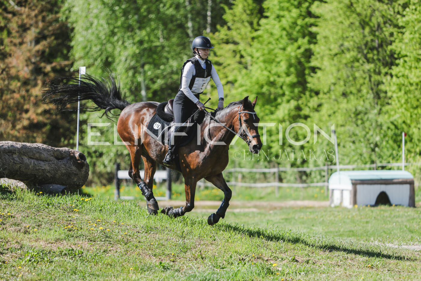 Parnu_CHI_3V_2026_CCN80_XC_120