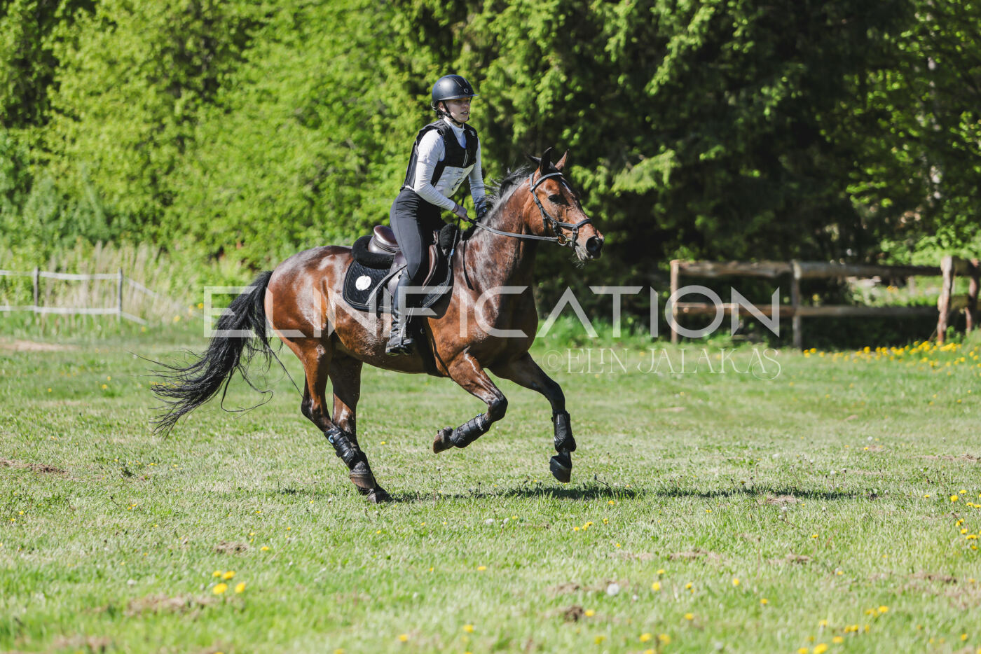Parnu_CHI_3V_2026_CCN80_XC_122