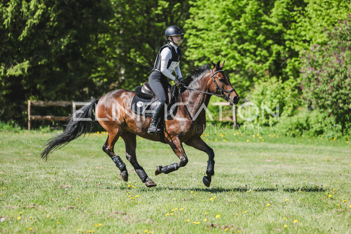 Parnu_CHI_3V_2026_CCN80_XC_124