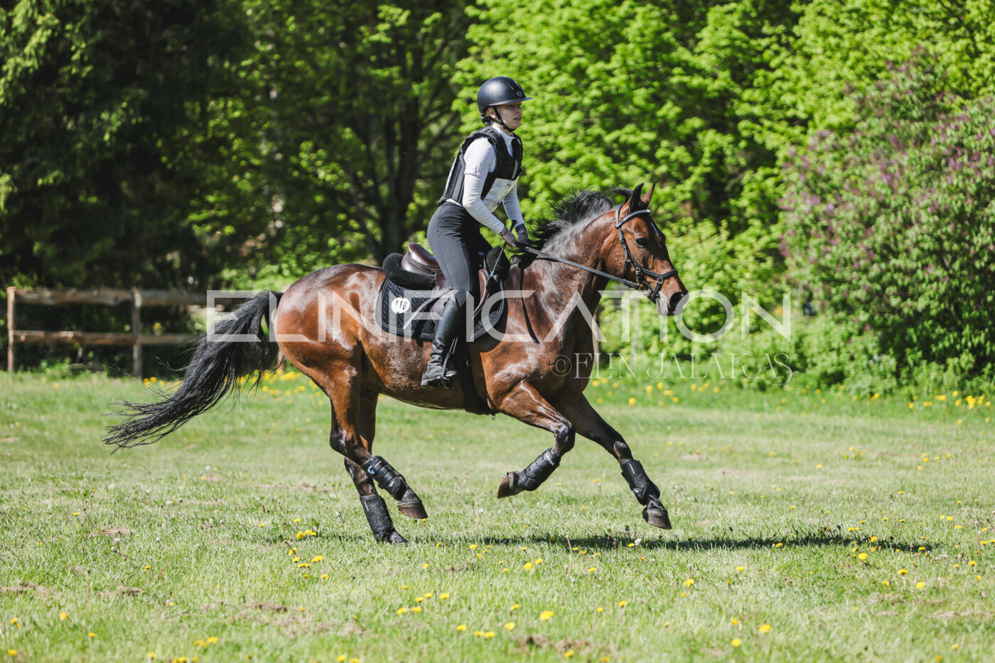 Parnu_CHI_3V_2026_CCN80_XC_125