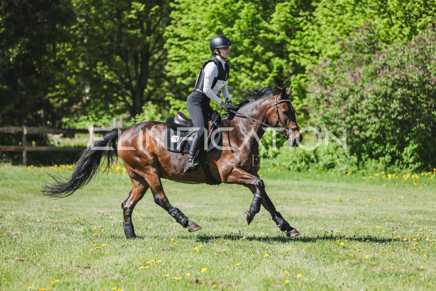 Parnu_CHI_3V_2026_CCN80_XC_126