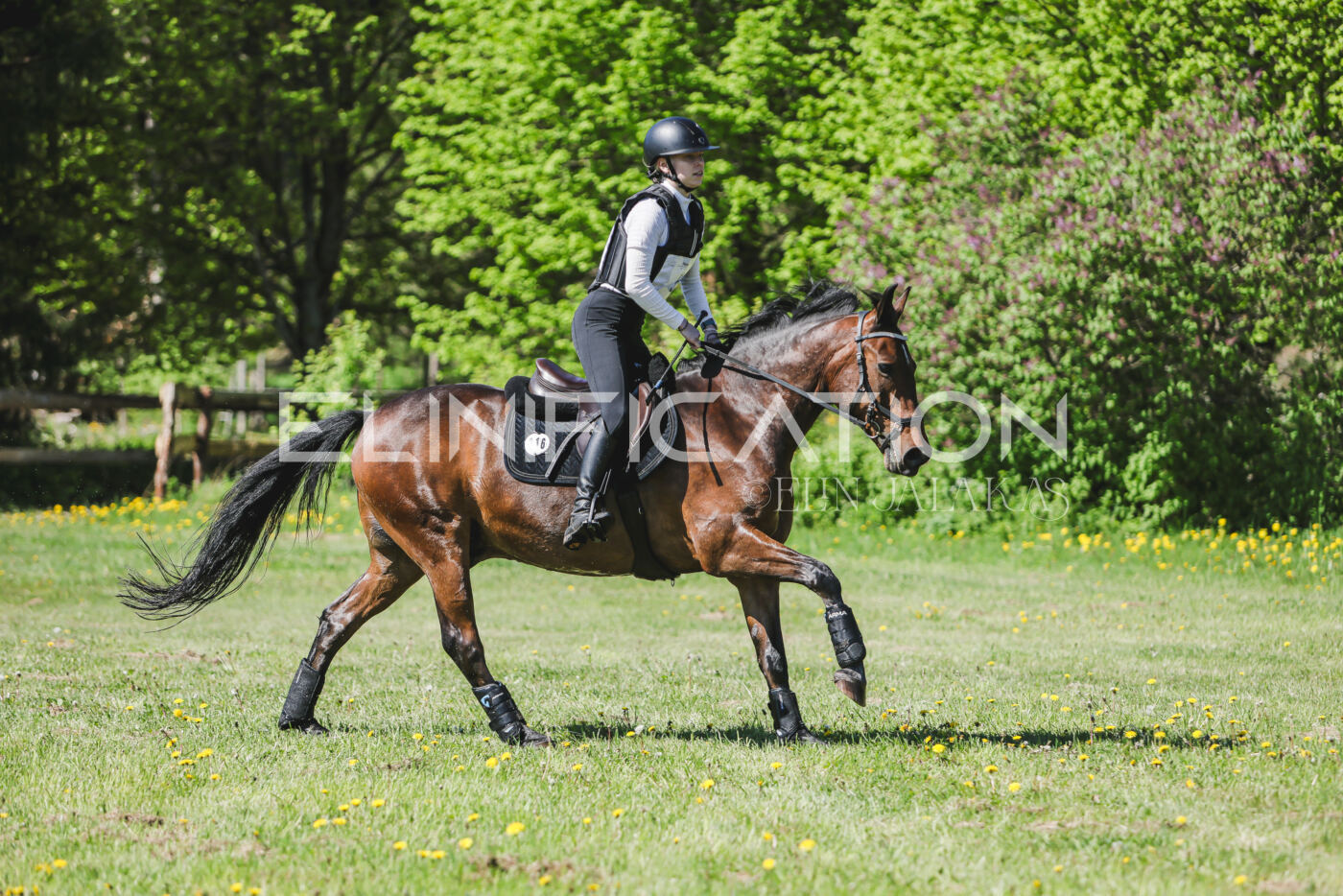 Parnu_CHI_3V_2026_CCN80_XC_127