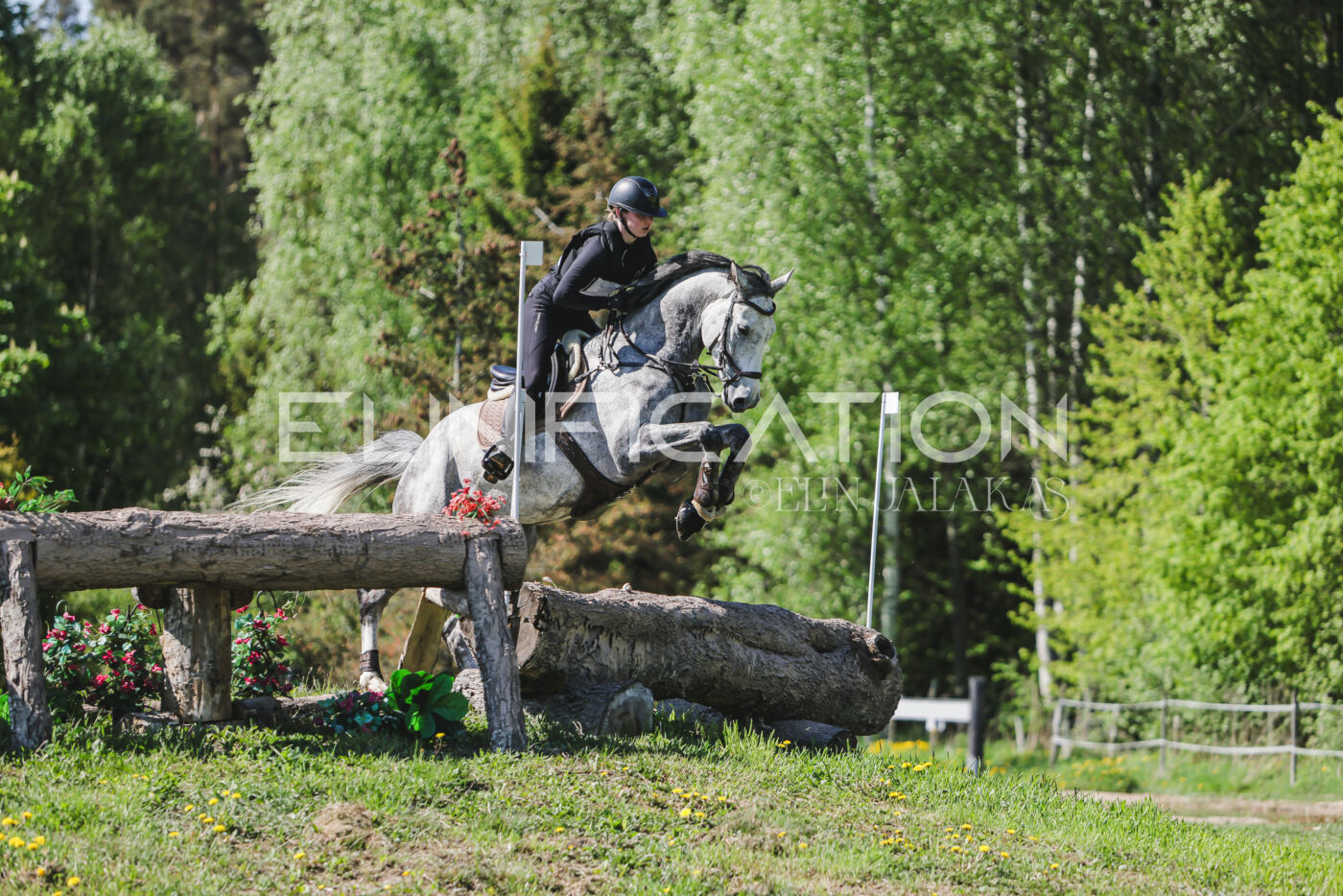 Parnu_CHI_3V_2026_CCN80_XC_137