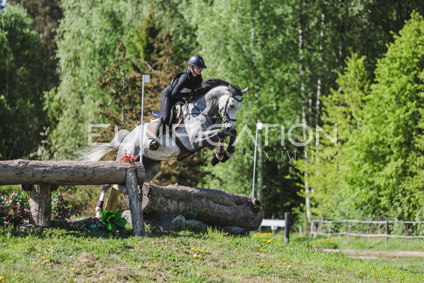 Parnu_CHI_3V_2026_CCN80_XC_138