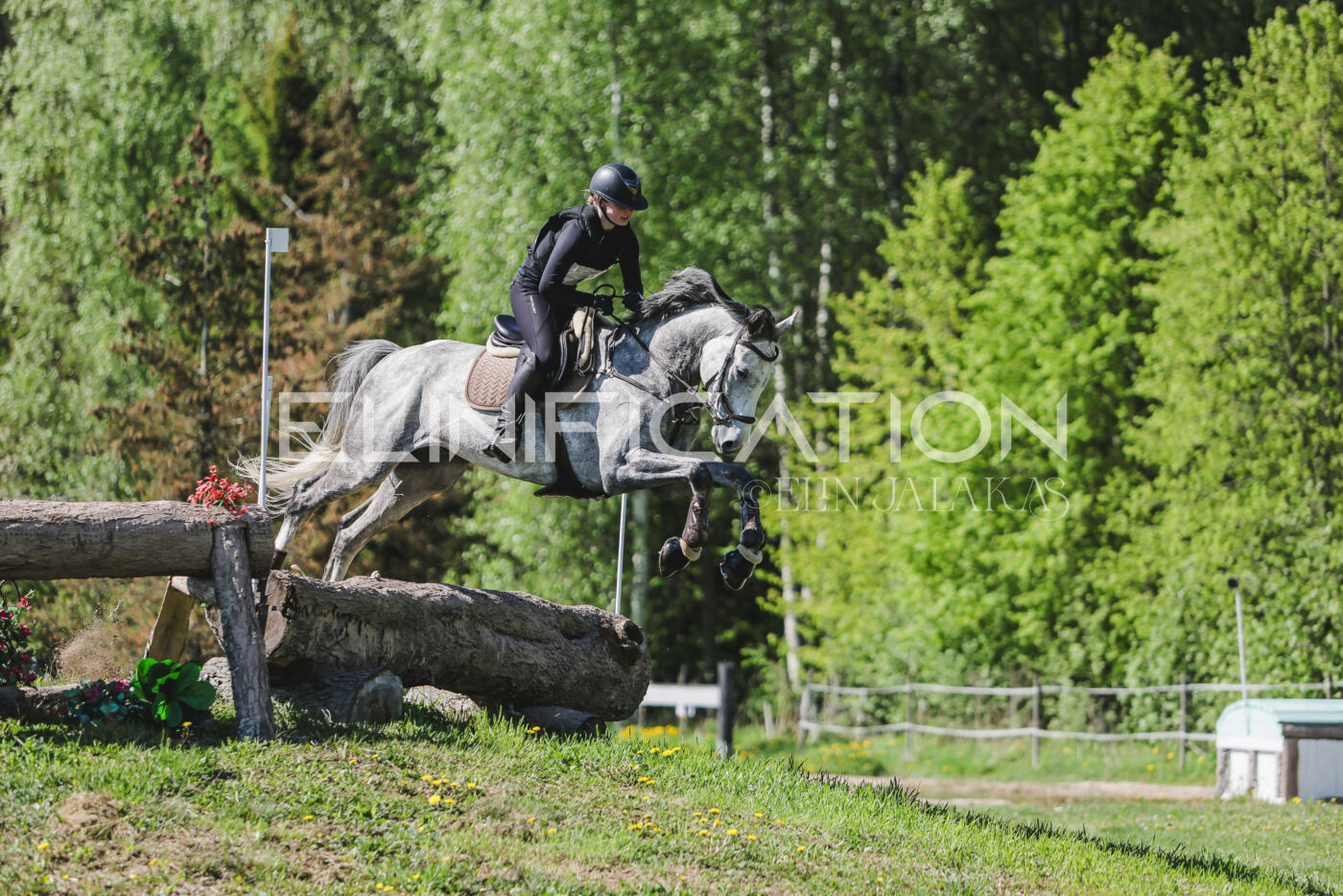 Parnu_CHI_3V_2026_CCN80_XC_141