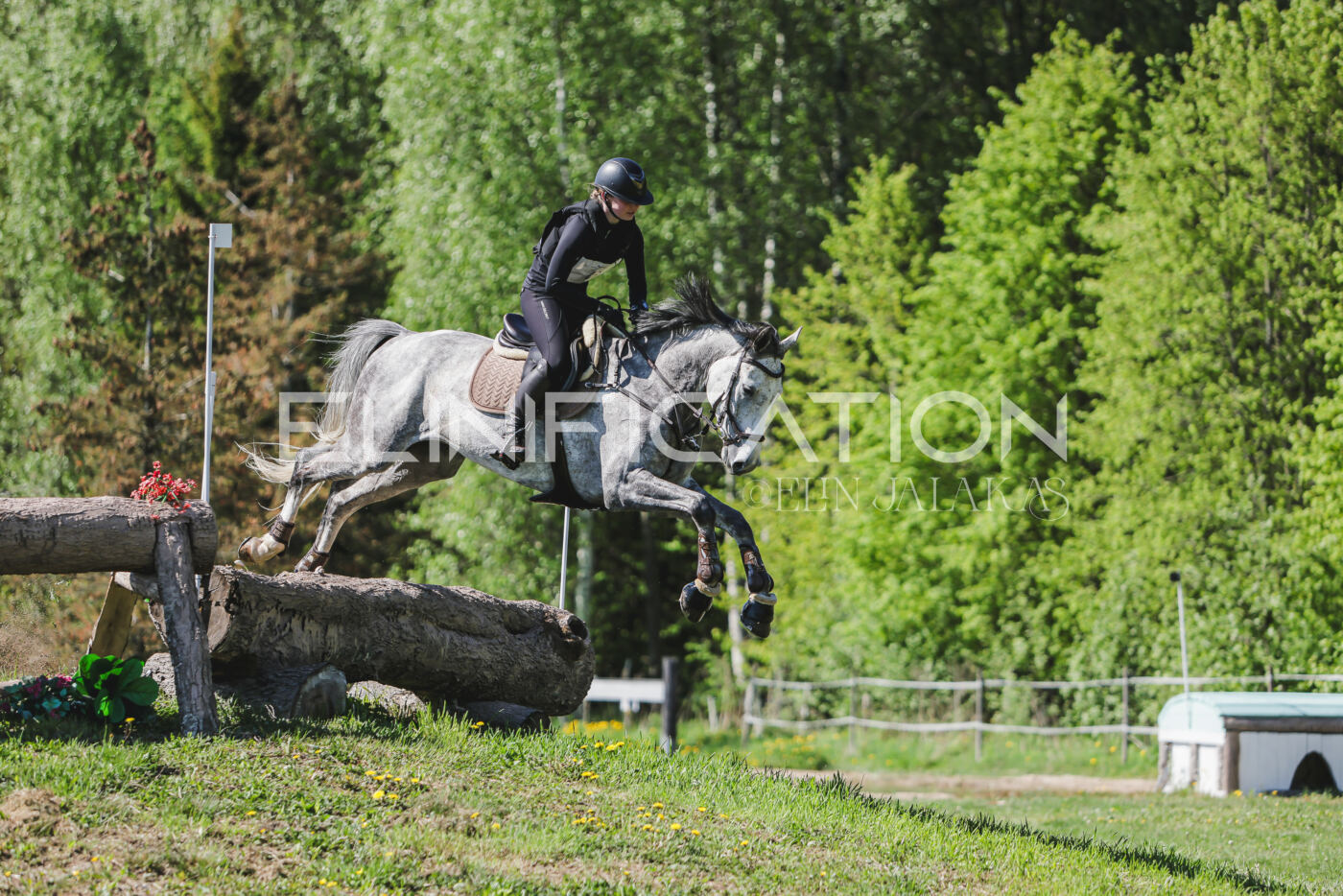 Parnu_CHI_3V_2026_CCN80_XC_142