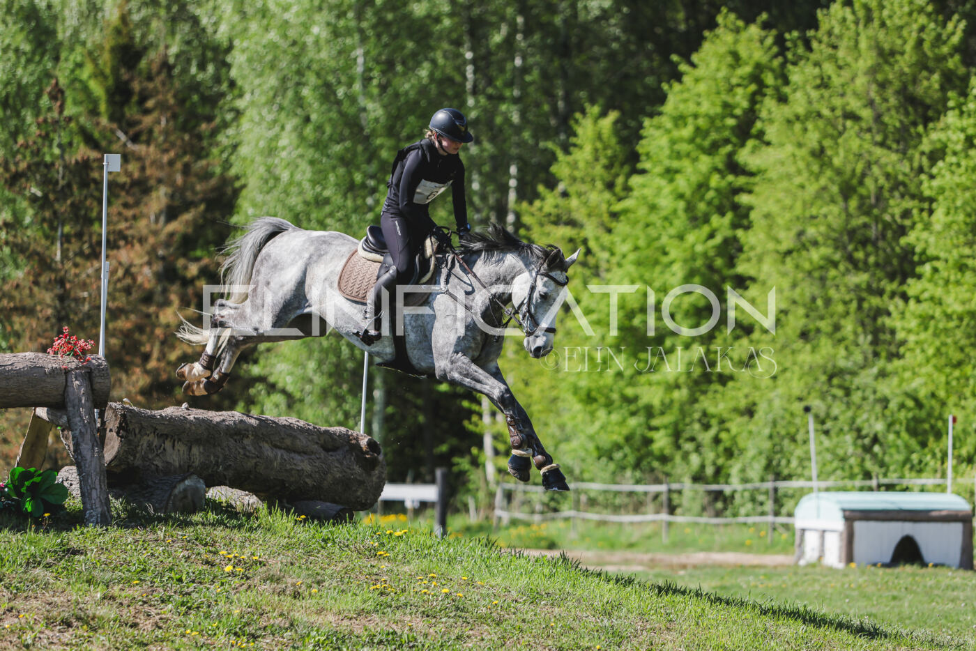 Parnu_CHI_3V_2026_CCN80_XC_143