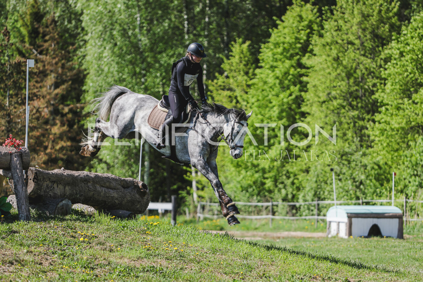Parnu_CHI_3V_2026_CCN80_XC_144