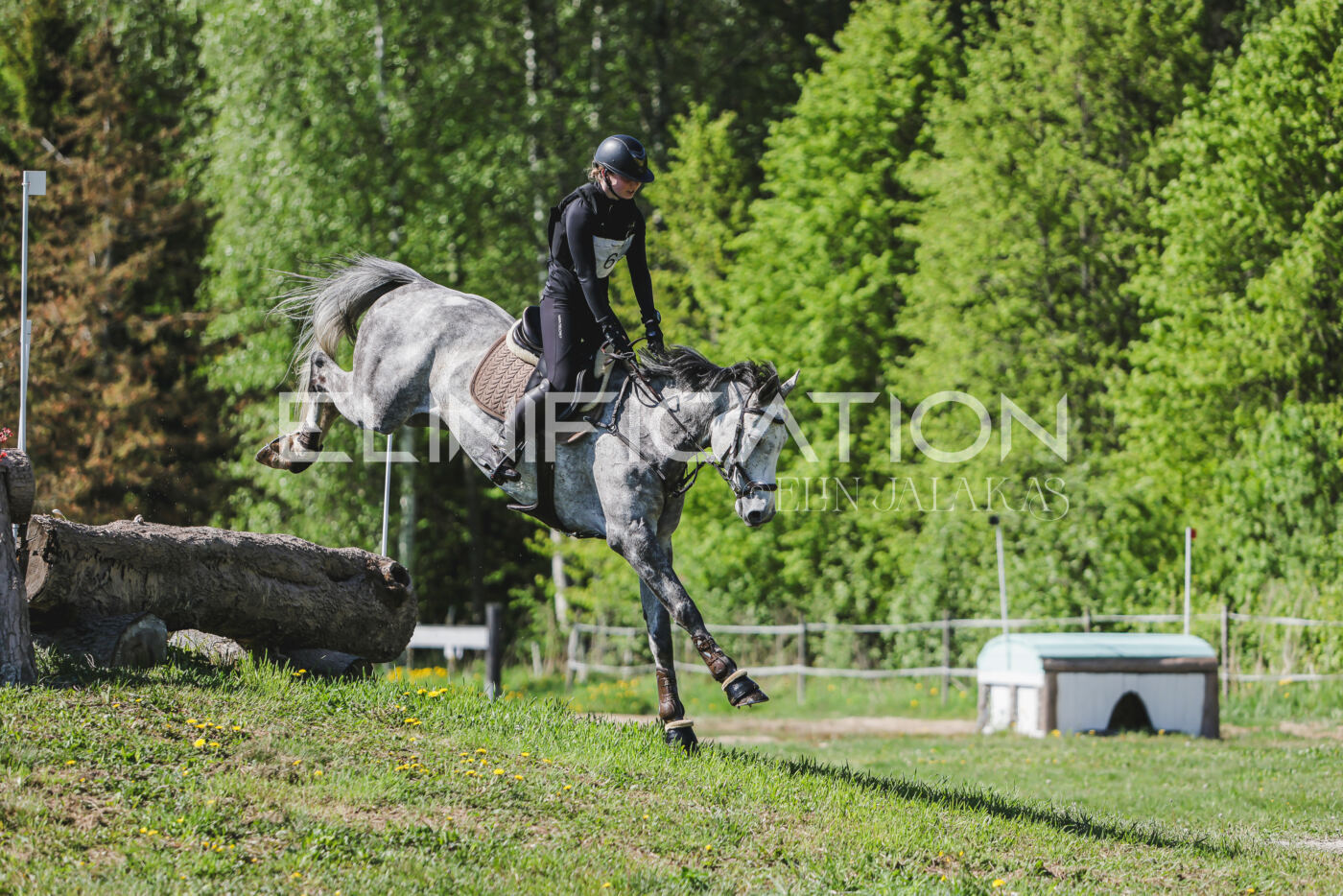 Parnu_CHI_3V_2026_CCN80_XC_145
