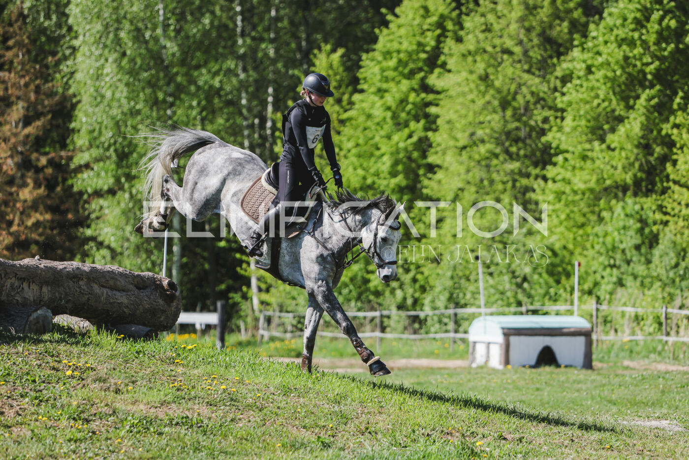 Parnu_CHI_3V_2026_CCN80_XC_146