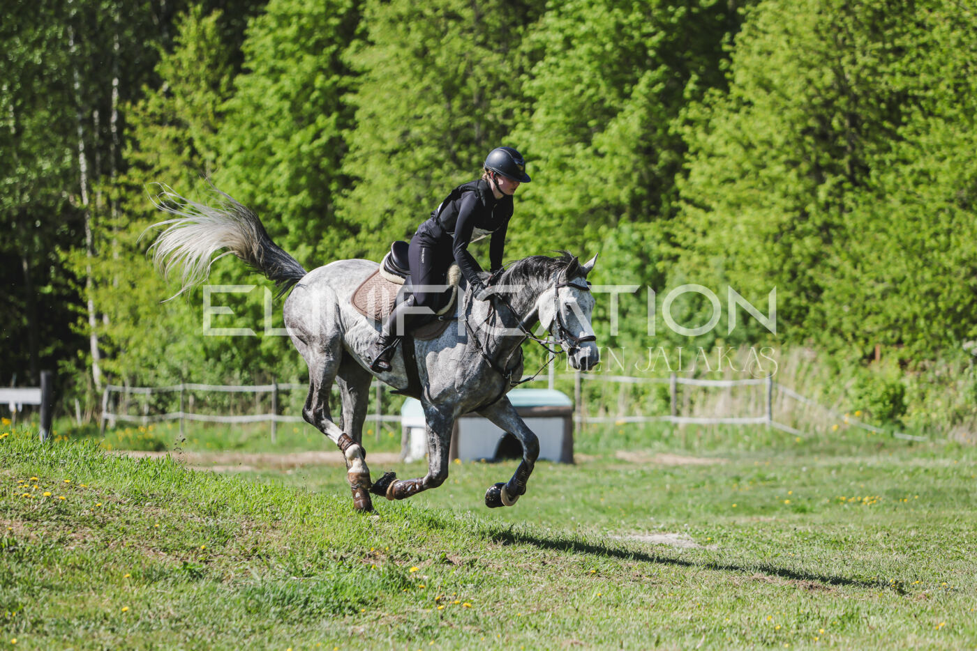 Parnu_CHI_3V_2026_CCN80_XC_147