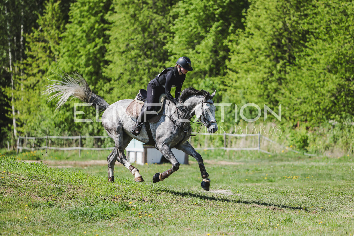 Parnu_CHI_3V_2026_CCN80_XC_148