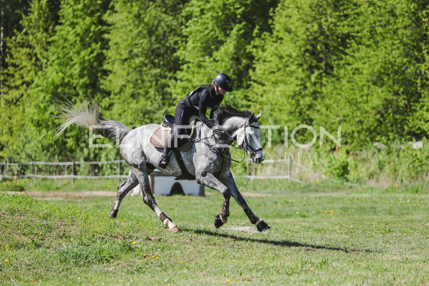 Parnu_CHI_3V_2026_CCN80_XC_149