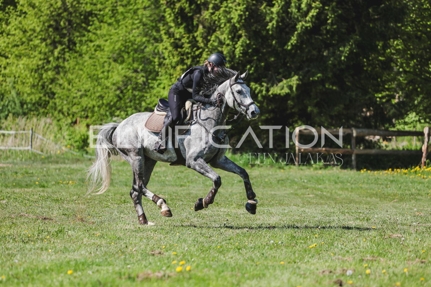 Parnu_CHI_3V_2026_CCN80_XC_150