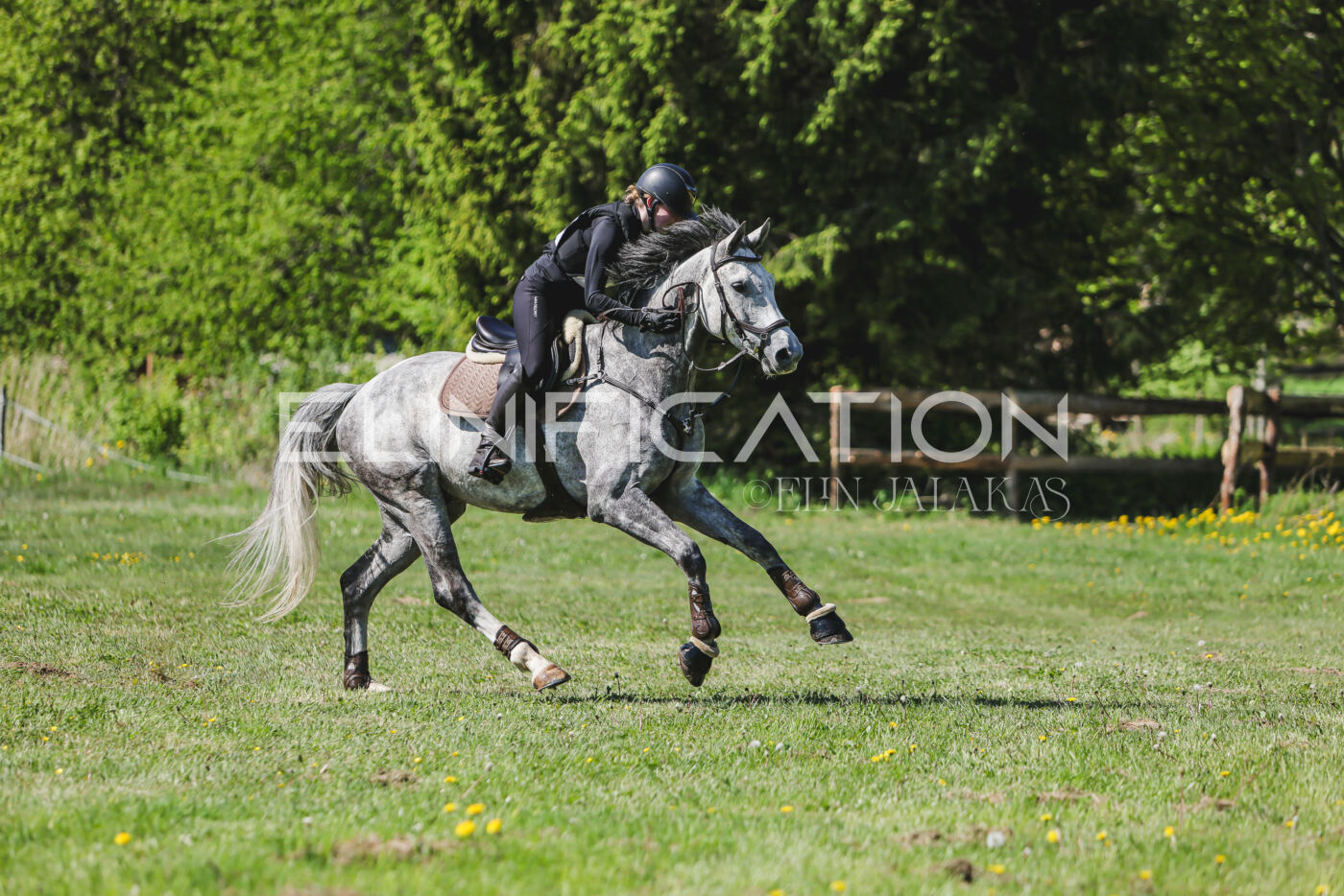 Parnu_CHI_3V_2026_CCN80_XC_151