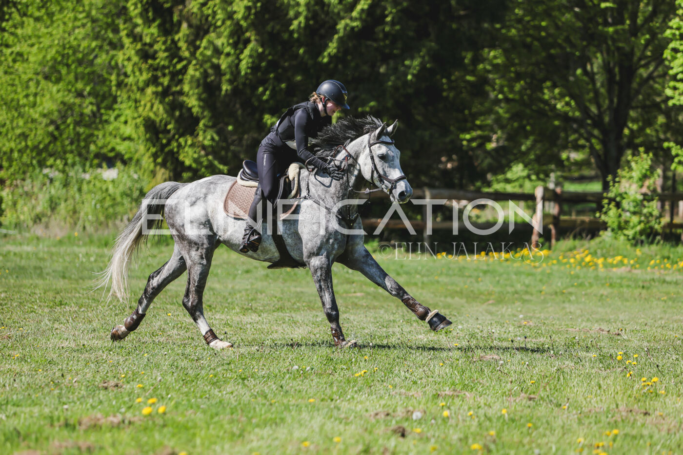Parnu_CHI_3V_2026_CCN80_XC_153