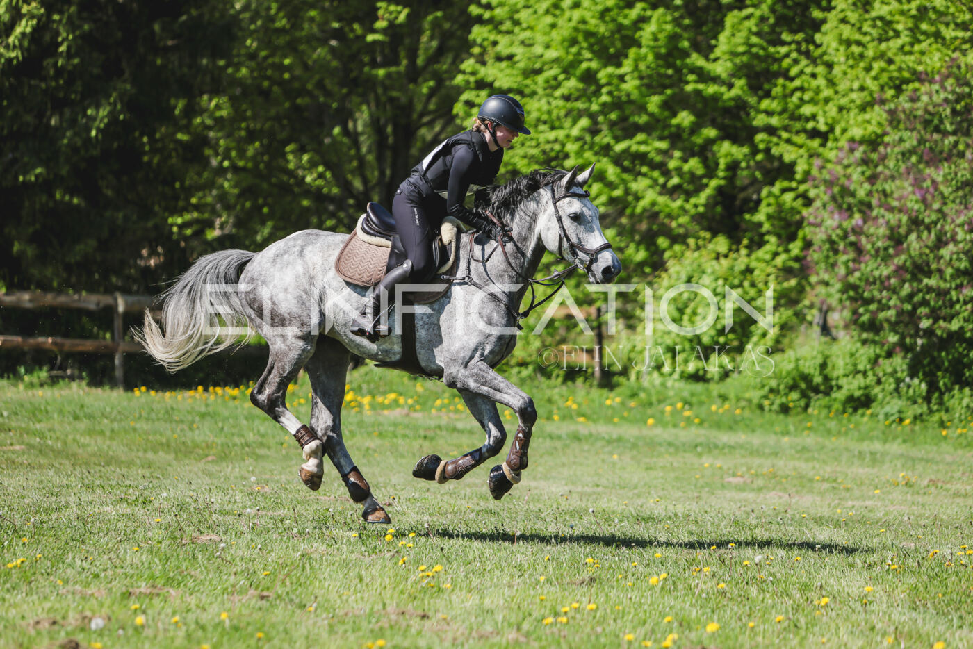 Parnu_CHI_3V_2026_CCN80_XC_154