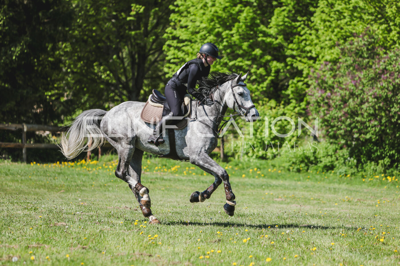 Parnu_CHI_3V_2026_CCN80_XC_155