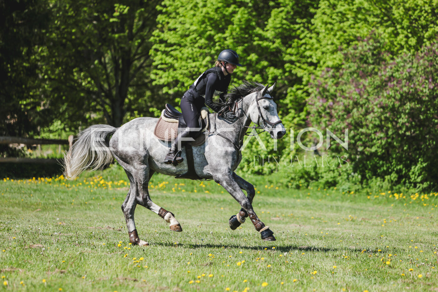 Parnu_CHI_3V_2026_CCN80_XC_156