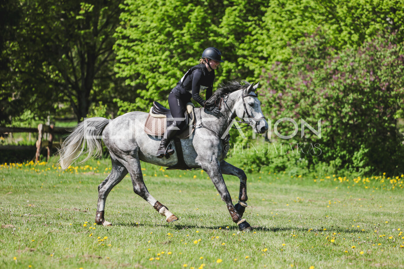 Parnu_CHI_3V_2026_CCN80_XC_157