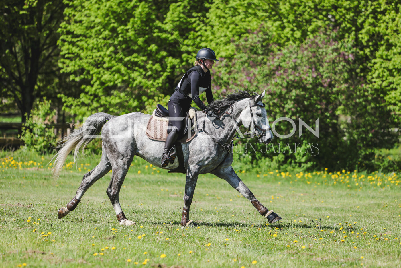 Parnu_CHI_3V_2026_CCN80_XC_158