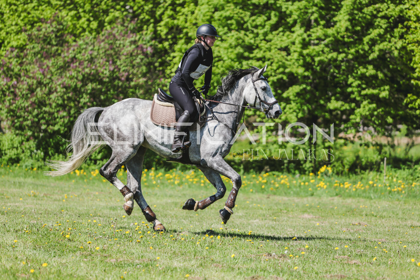 Parnu_CHI_3V_2026_CCN80_XC_159