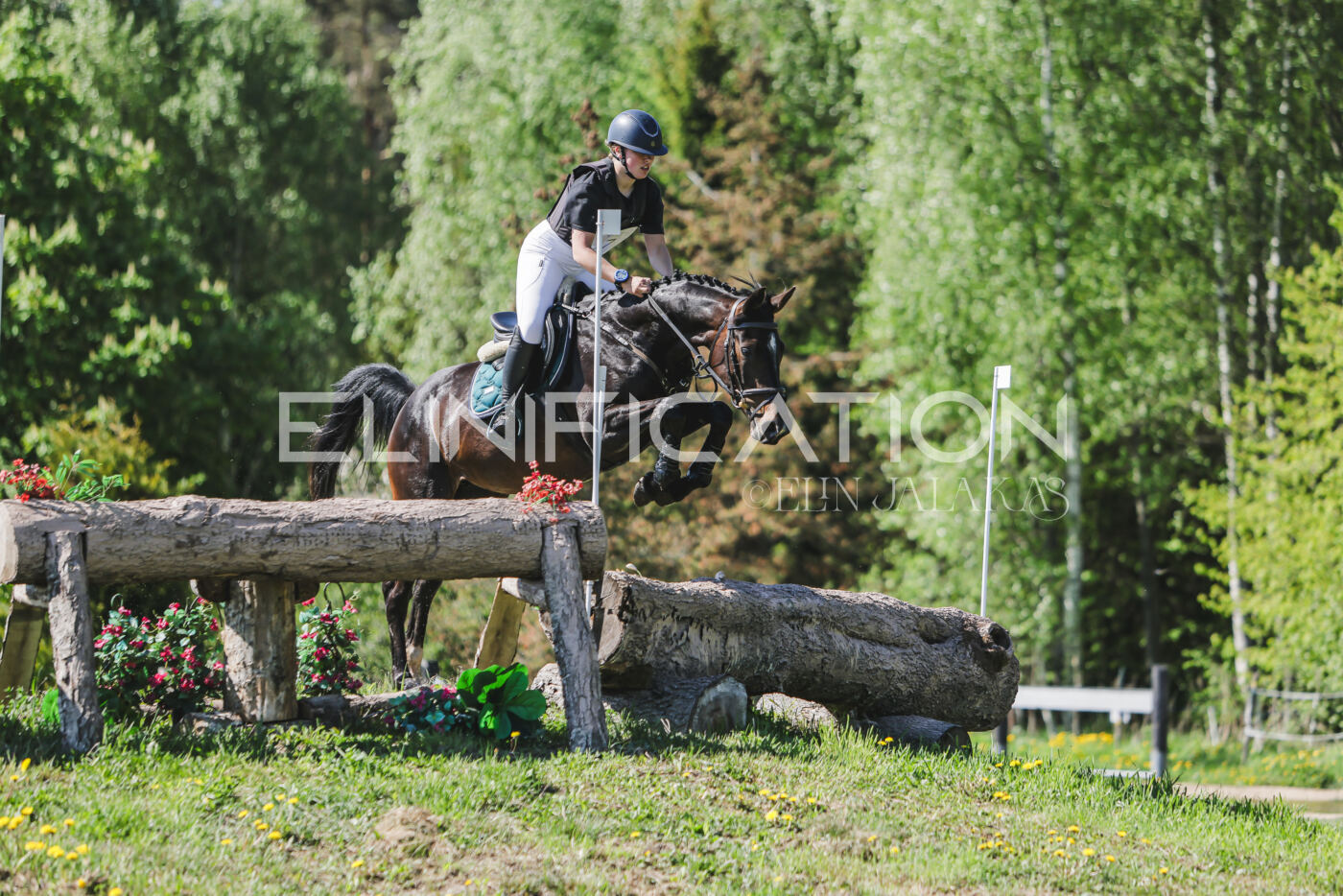 Parnu_CHI_3V_2026_CCN80_XC_172