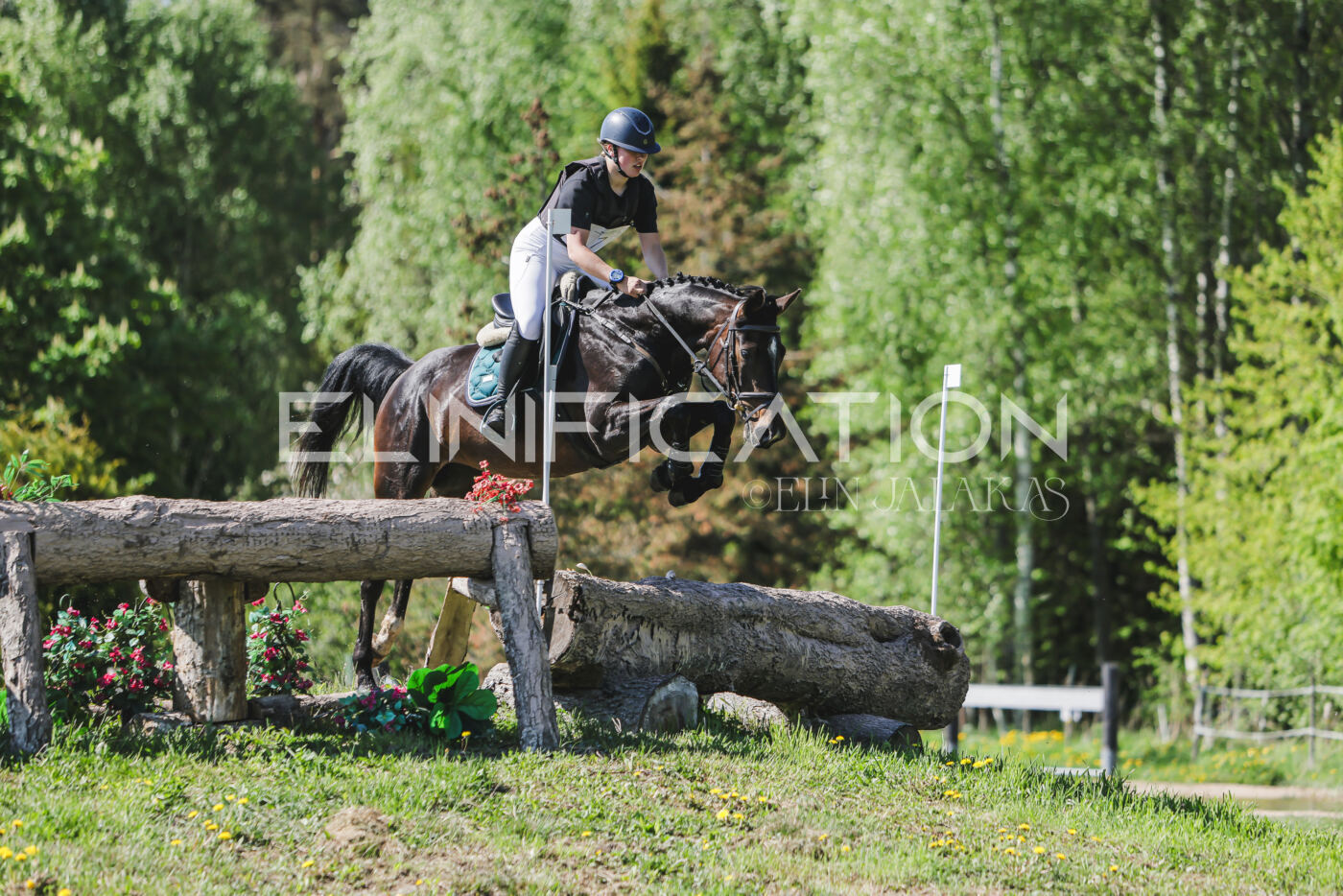 Parnu_CHI_3V_2026_CCN80_XC_173
