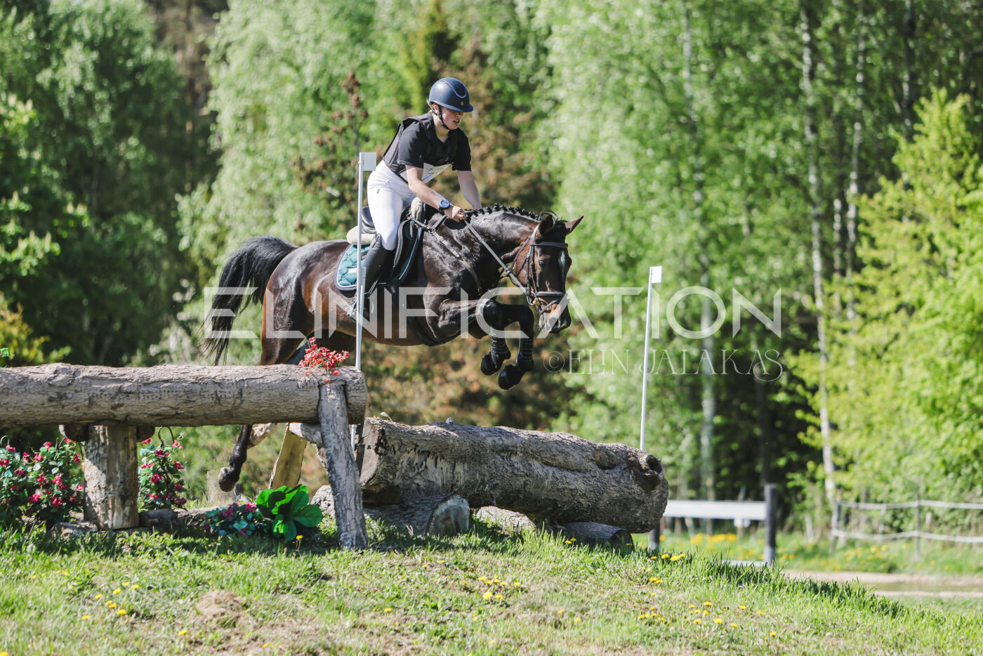 Parnu_CHI_3V_2026_CCN80_XC_174