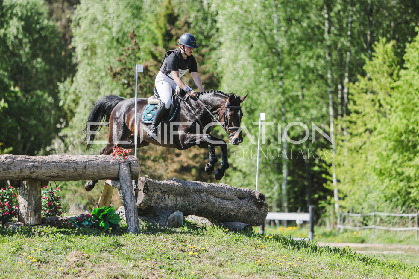 Parnu_CHI_3V_2026_CCN80_XC_175