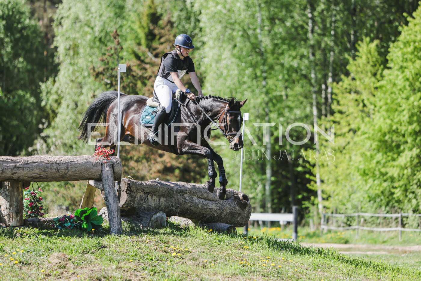 Parnu_CHI_3V_2026_CCN80_XC_176