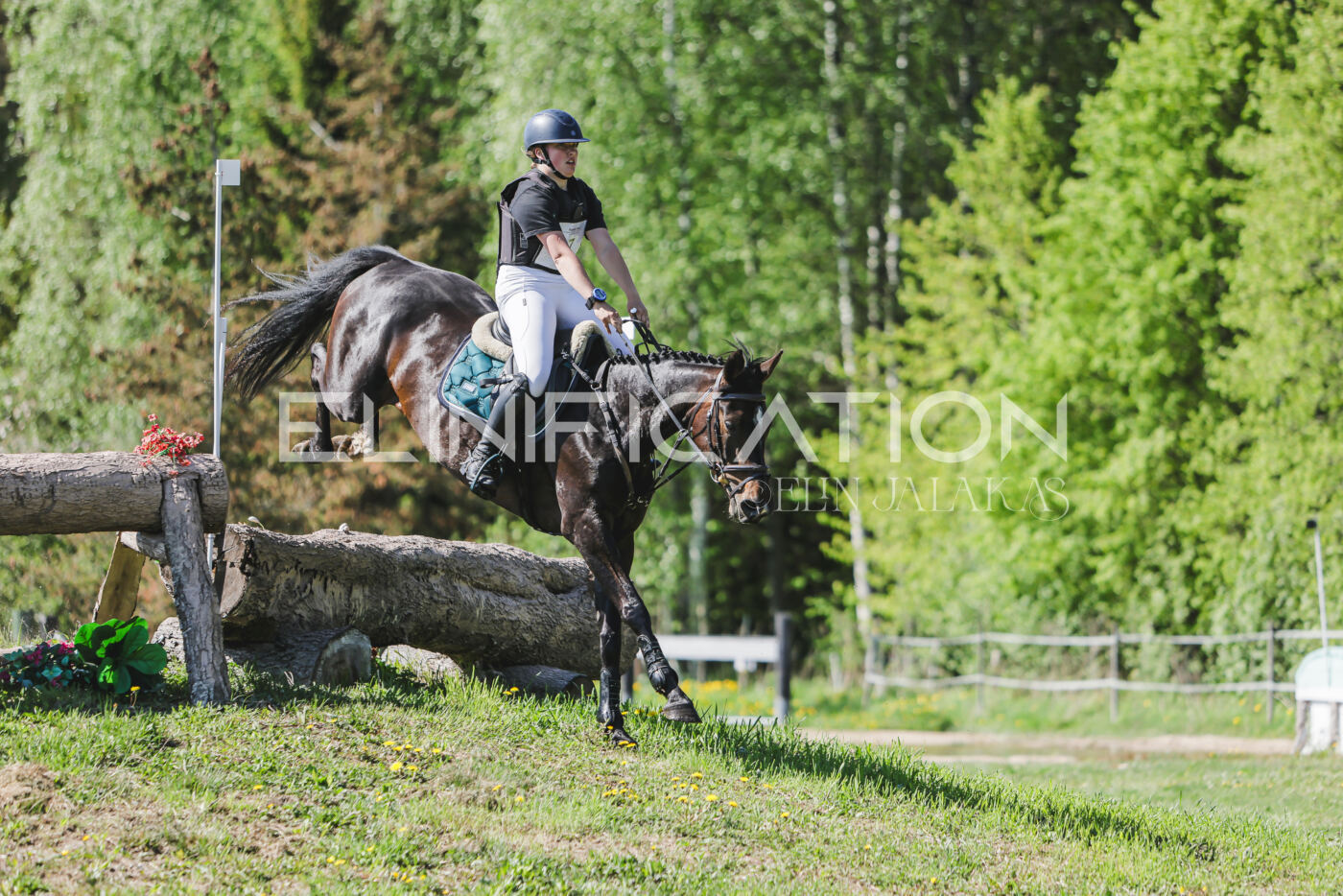 Parnu_CHI_3V_2026_CCN80_XC_179