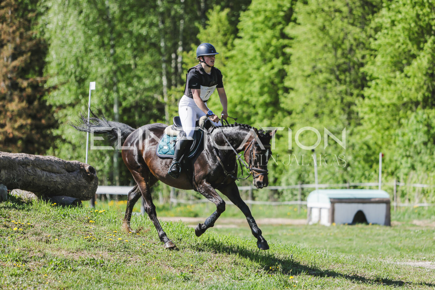 Parnu_CHI_3V_2026_CCN80_XC_181