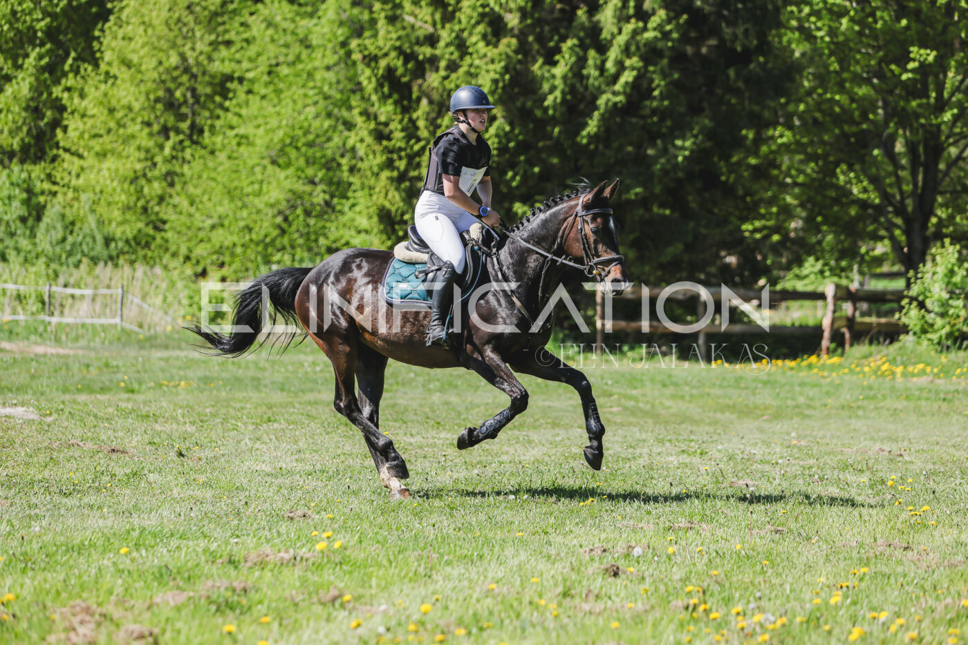 Parnu_CHI_3V_2026_CCN80_XC_182